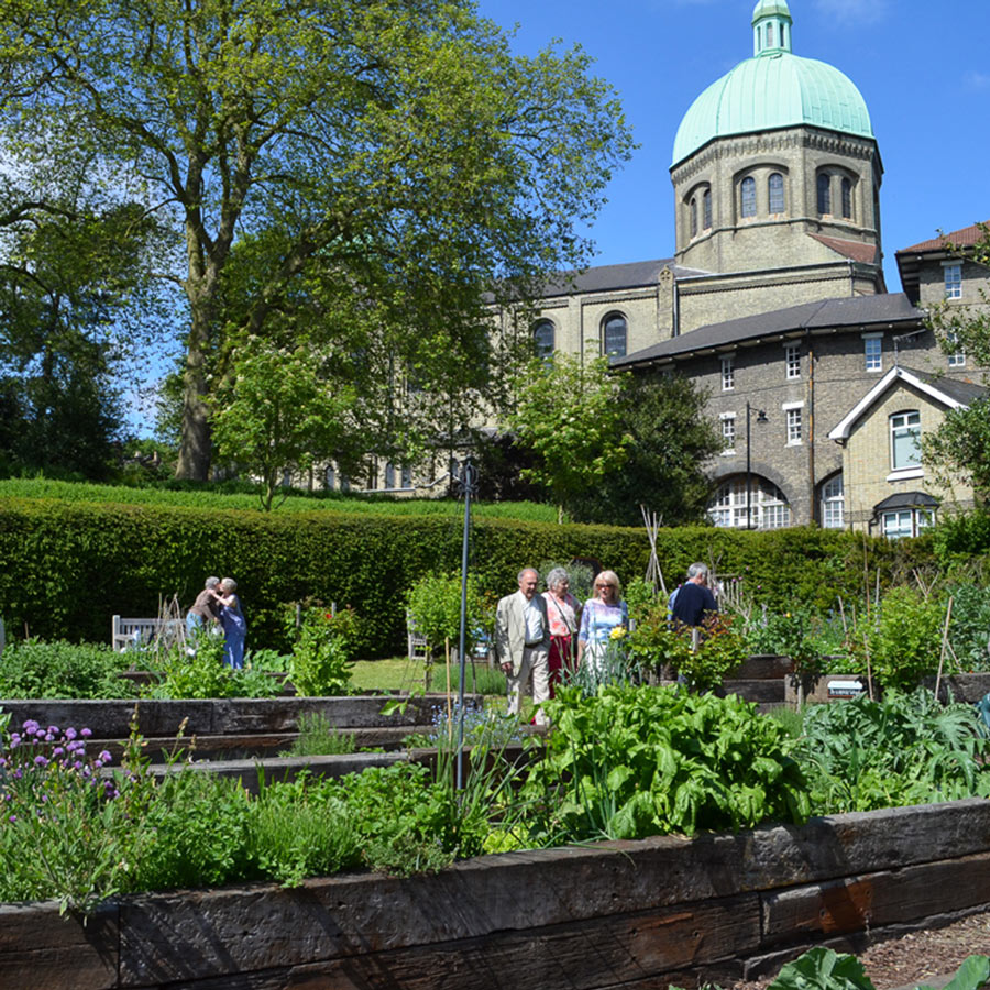 Kitchen Garden Kitchen Garden