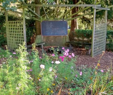 Kitchen-garden-corner