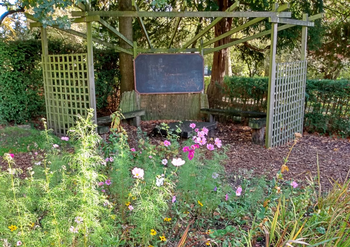 Kitchen-garden-corner