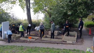 LH-raised-beds-before.jpg