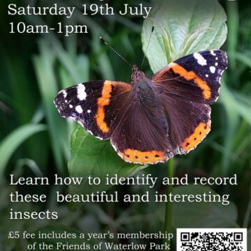Waterlow-Park-Butterflies-2025.jpeg