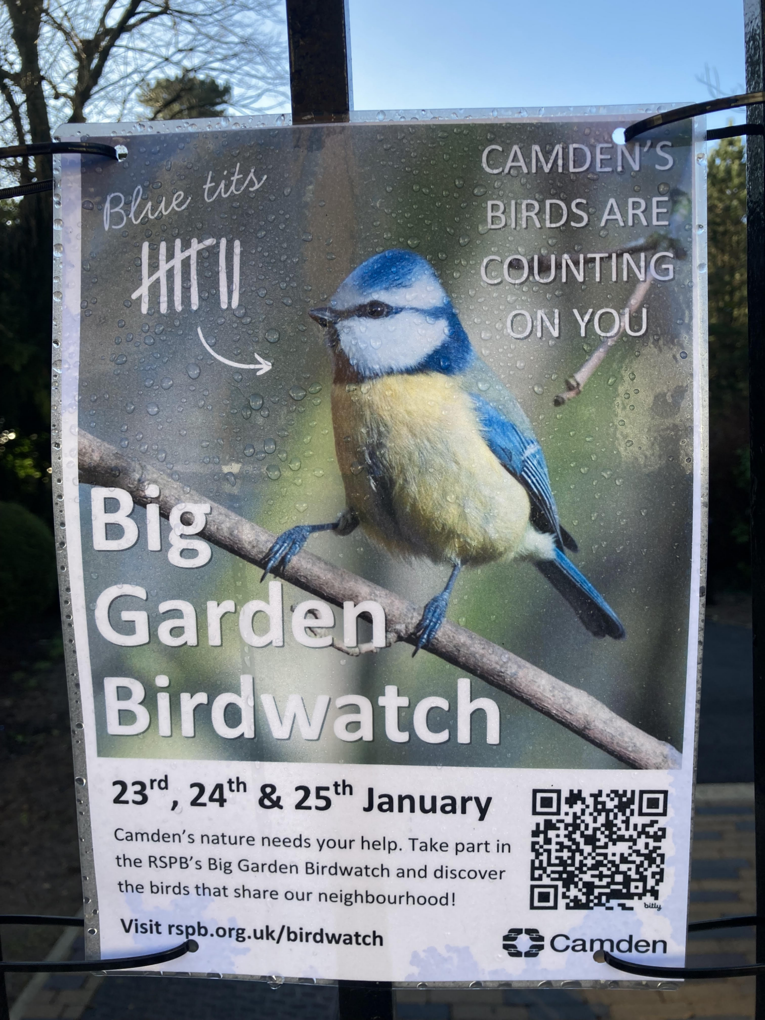 Did you take part in the Big Garden Birdwatch? – Friends of Waterlow Park