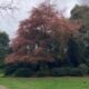 IMG_0741.jpeg