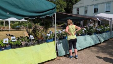 plant-sale-5-26.jpg