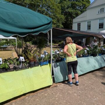 plant-sale-5-26.jpg