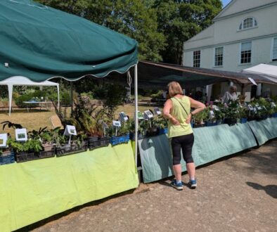 plant-sale-5-26.jpg