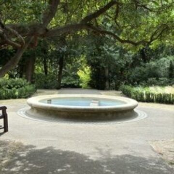IMG_1027.jpeg