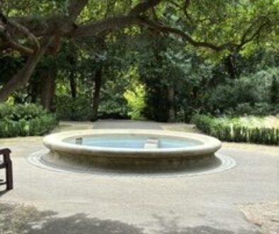IMG_1027.jpeg